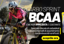 Pro Action Carbo Sprint BCAA