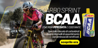 Pro Action Carbo Sprint BCAA