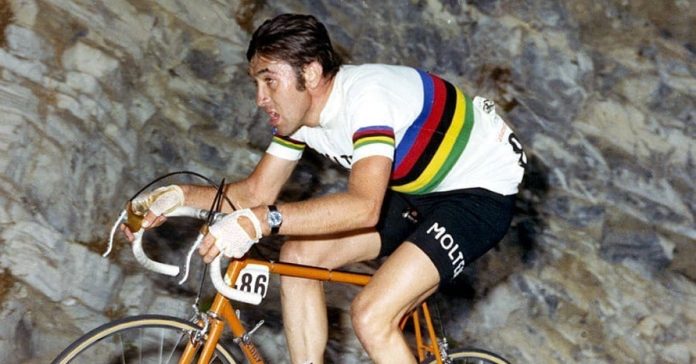 Gallery-Merckx-2024-0