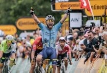 Cavendish