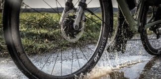 Schwalbe