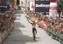 Jungels