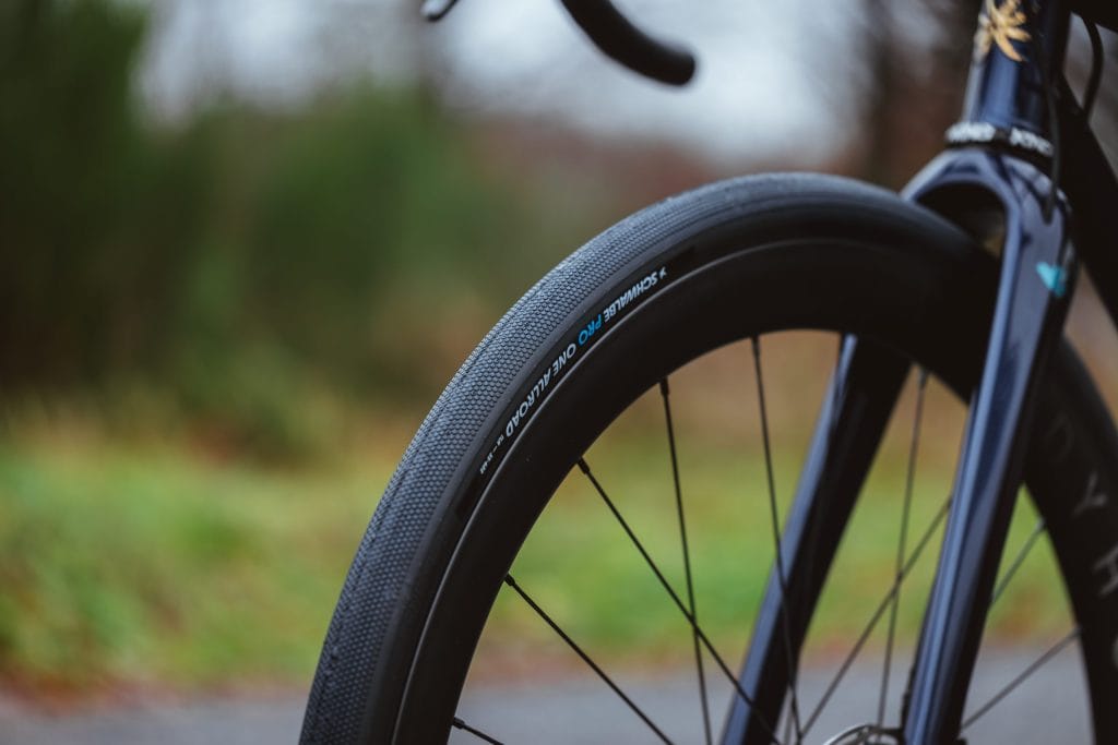 Schwalbe