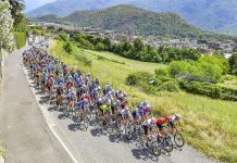 Terza vittoria stagionale per De Cassan alla 44ª Zanè-Monte Cengio. Bagnara 2° a 6”, 3° Zumstein Under 23