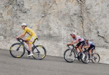 Tour de France, ecco quale dettaglio tecnico accomuna Pogacar, Evenepoel, del Toro e Seixas Tour de France