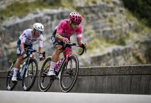 Vuelta, tre italiani nella Soudal Quick-Step, nella EF guidata da Carapaz c’è anche Albanese Albanese