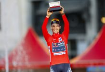 Roglic