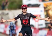 Vuelta, 14ª tappa: Brenner conquista Sierra de la Pandera battendo la maglia a pois Buitrago Brenner