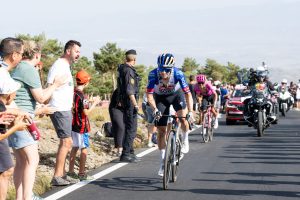 Roglic