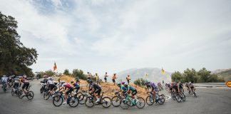 Vuelta