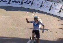 Lippert
